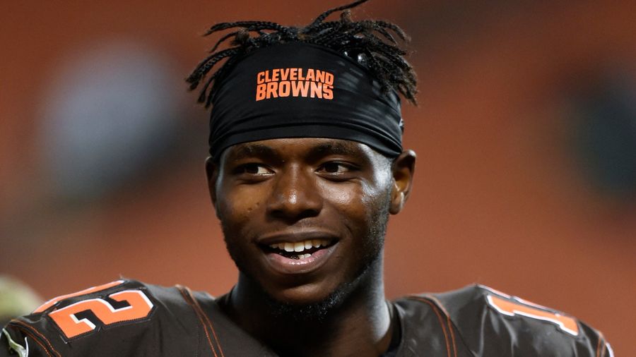 No, Josh Gordon Did Not Get Caught With A Pound Of Weed At The Airport