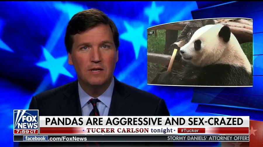 The President's TV Channel Of Choice