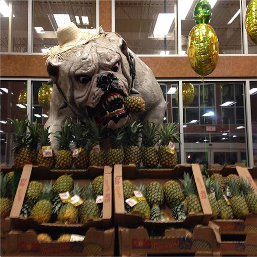 Georgia Grocery Store Terrorized By Giant Nightmare Bulldog