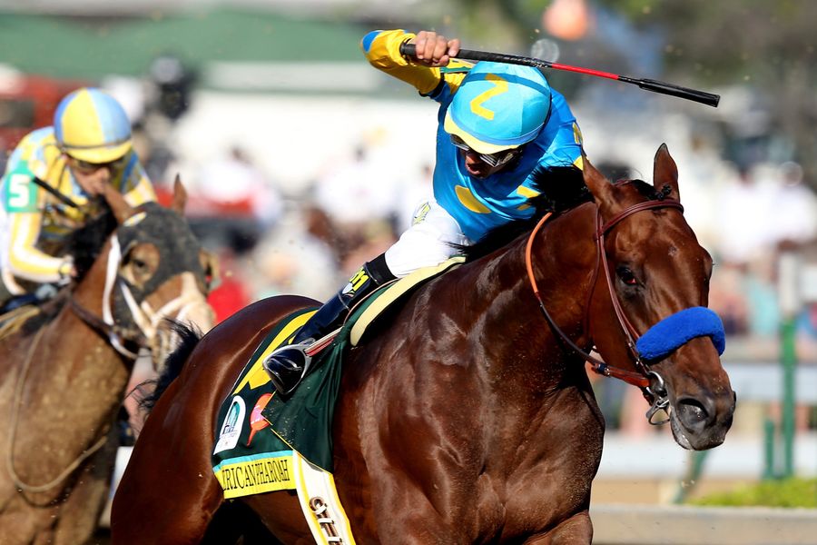 The Horse People Are Mad Online