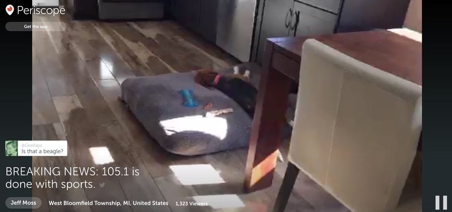 Irate Detroit Sports Blogger Yells While His Dog Sleeps, Licks Its Own Ass<em></em>