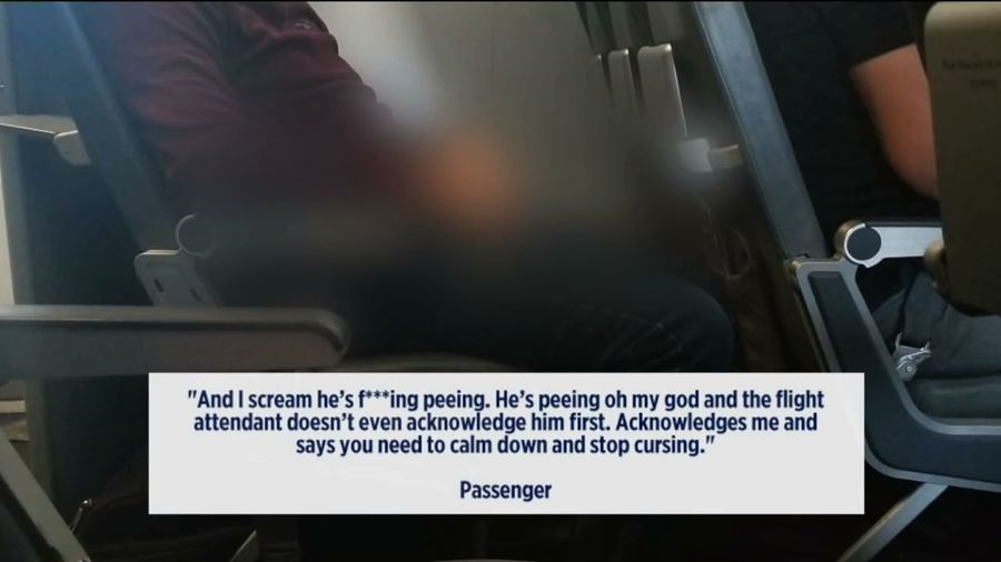Man Nonchalantly Pisses On Plane Seat And Himself