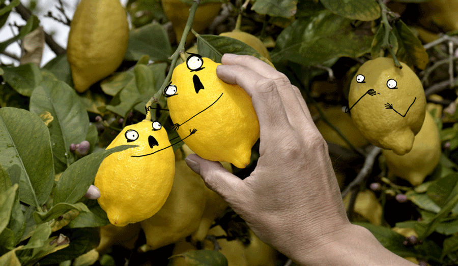 Confessions Of A Petty Citrus Thief