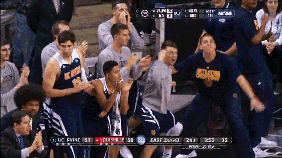 That's Not How An Anteater Dances