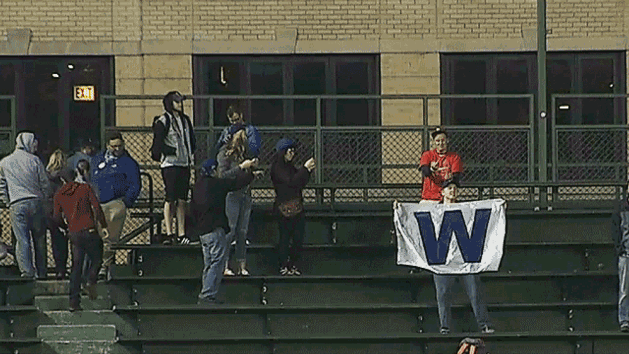 Baseball&#39;s Best Fans