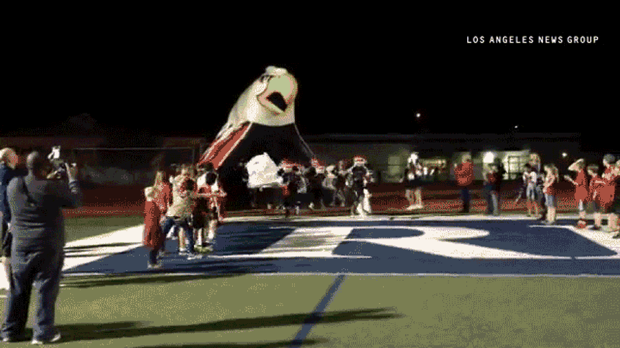 High School Football Reporter Films Entrance, Gets Mauled By Team