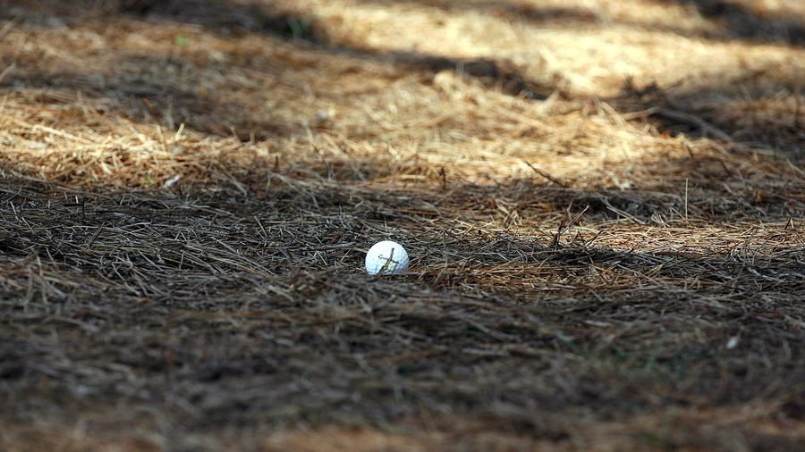 Golf Pro Shoots 17 On Par 4, Gets Owned By His Dad