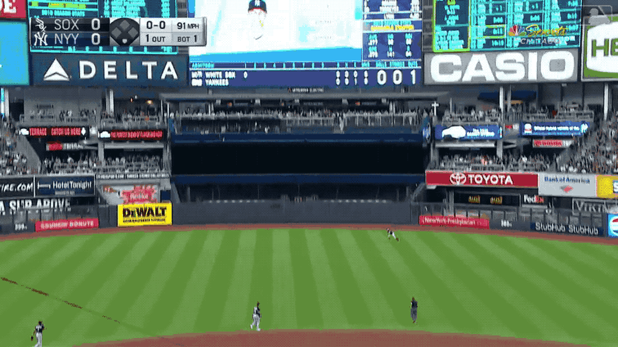 Adam Engel Makes Heroic Catch Despite Assault From Yankee Stadium Grass