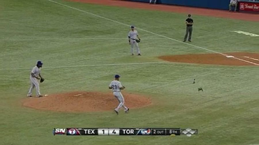 Rangers, Blue Jays Baffled At The Sight Of Birds