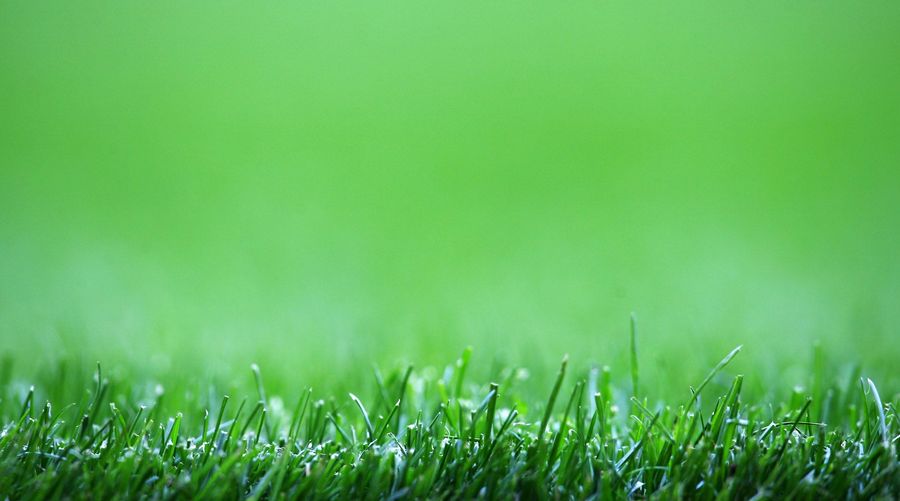 Lawn Games, Ranked