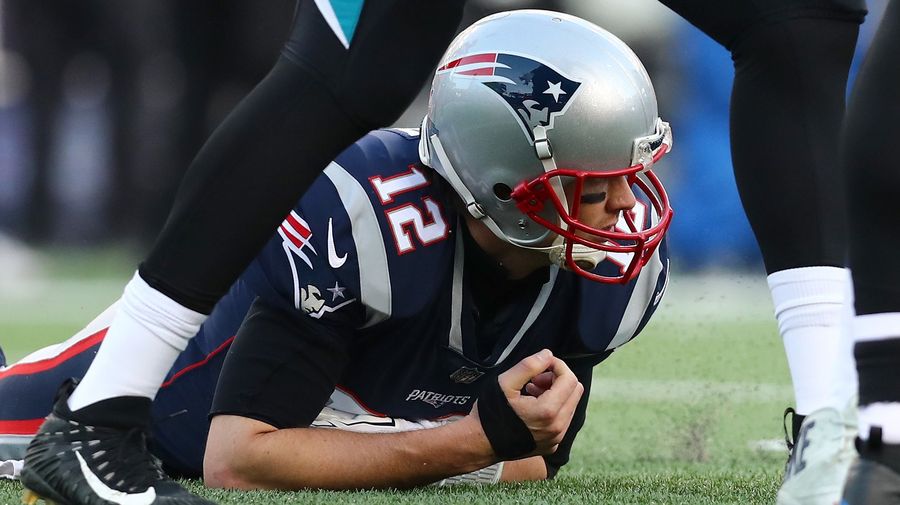 Fancy Dog Tom Brady Is Having A Great Doggy Birthday
