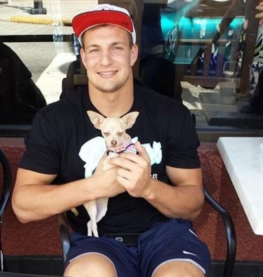 Rob Gronkowski Holds Tiny Dog