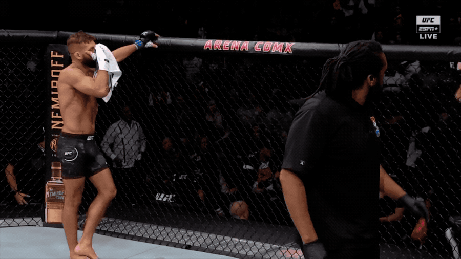 Crowd Gets Furious After UFC Main Event Stoppage; Announcer Hides Under Table
