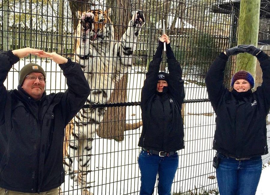 Barry Trotz On Possibly Misguided Quest To Keep Tiger At Columbus Zoo