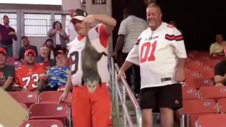 Browns Fan Saves Possum From Having To Watch The Rest Of Thursday Night Football<em></em>