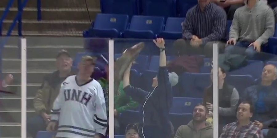 UNH Hockey Fan Tries To Throw Huge Fish Onto Ice, Struggles Mightily