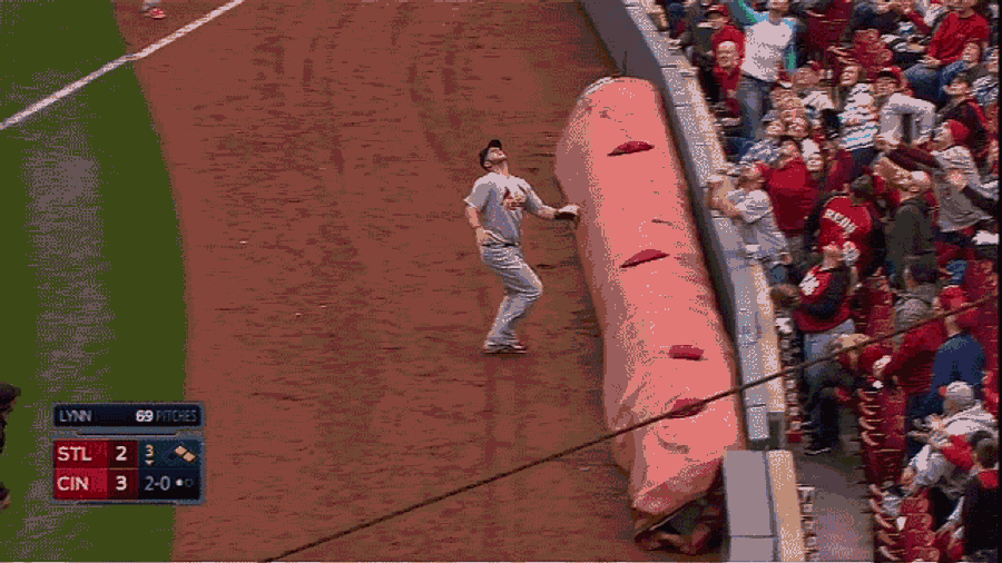 Matt Adams Shoves Fan After Diving For Foul Ball; Fan Flips The Bird