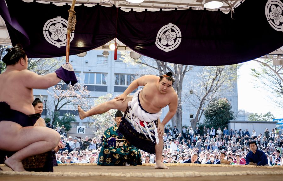 How Long Does It Take To Become A Yokozuna Sumo Wrestler?