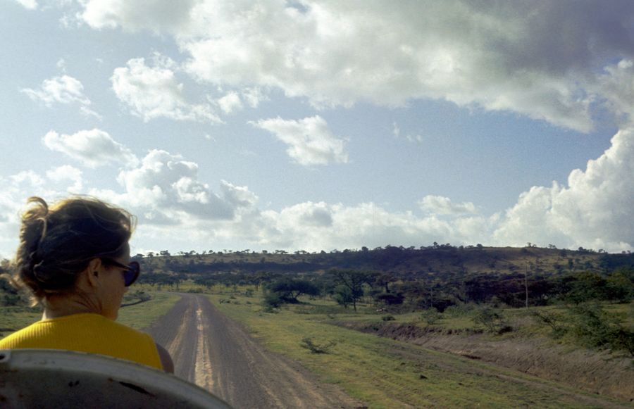Words, Movies And Out Of Africa
