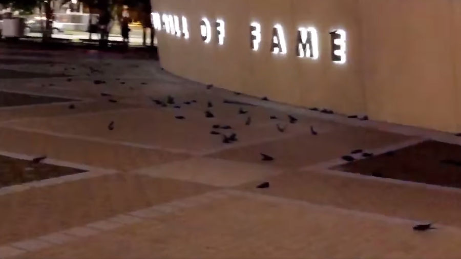 Gruesome Bird Massacre At The NASCAR Hall Of Fame