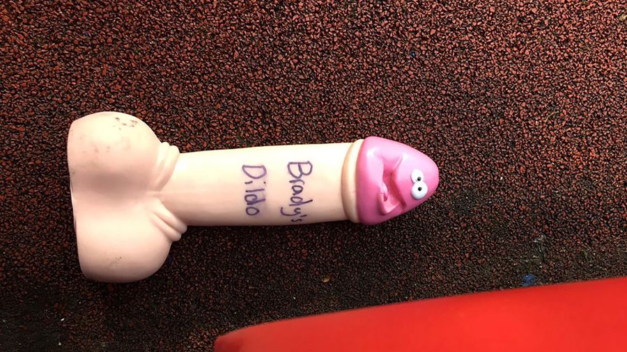 Is This The Dildo Thrown Onto The Field Yesterday By A Bills Fan? [Update: Yes, It Is]