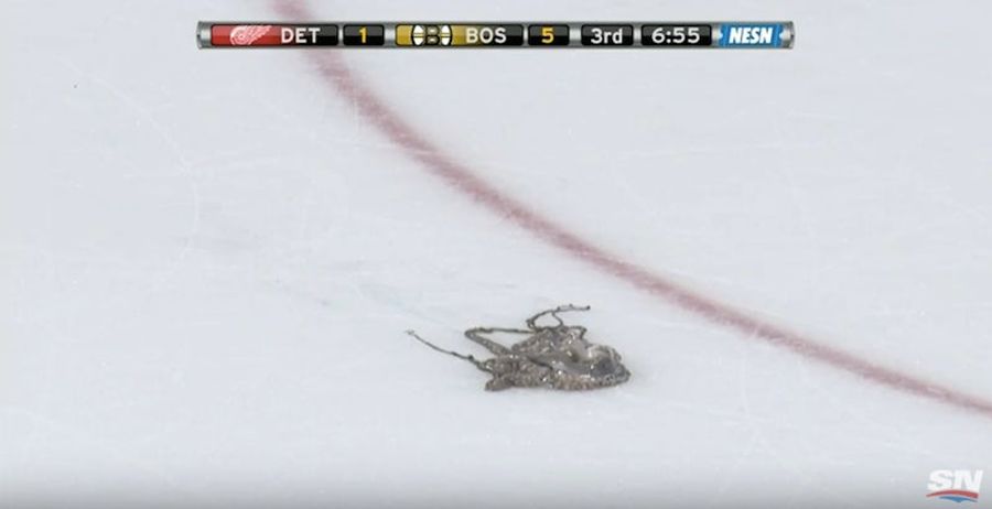 Red Wings Fan Arrested For Tossing Octopus Onto Bruins' Ice