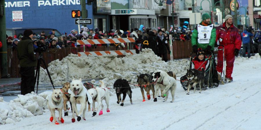 Some Evil Idiot Attacked The Iditarod Frontrunners And Killed A Sled Dog (UPDATE)