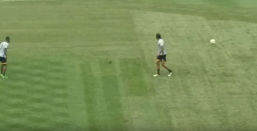 LA Galaxy Players Hit Pigeon With Ball During Warmups [Update]