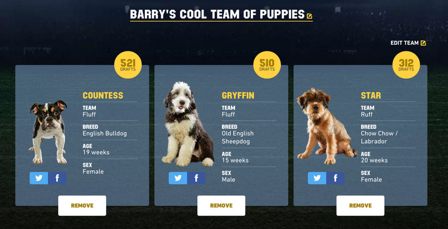 Oh Crap, It&#39;s Time To Draft Your Fantasy Puppy Bowl Team