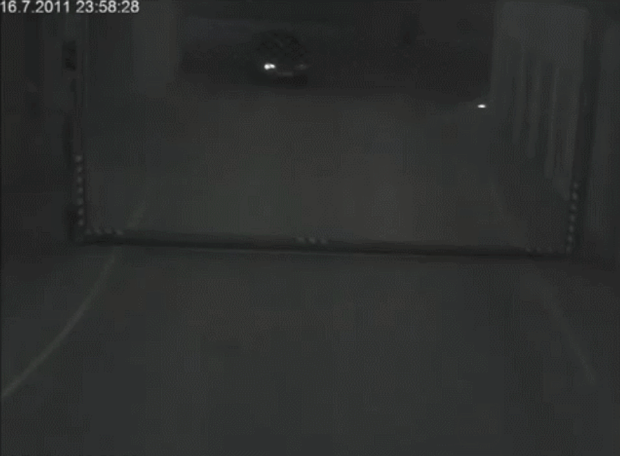 Icelandic Dipshits Totally Owned By Giant Parking-Garage Cat Door