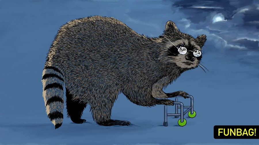 How Many Wild Animals Die Of Old Age?