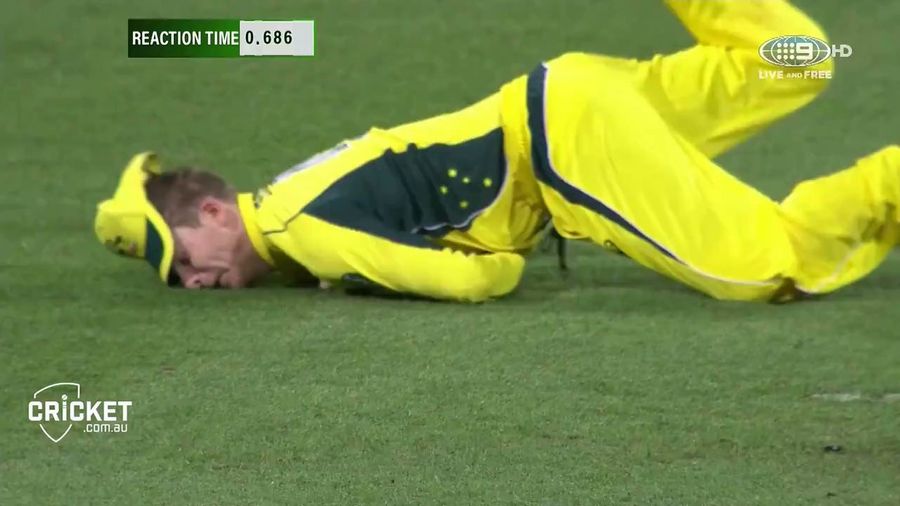 Look At This Great One-Handed Cricket Catch