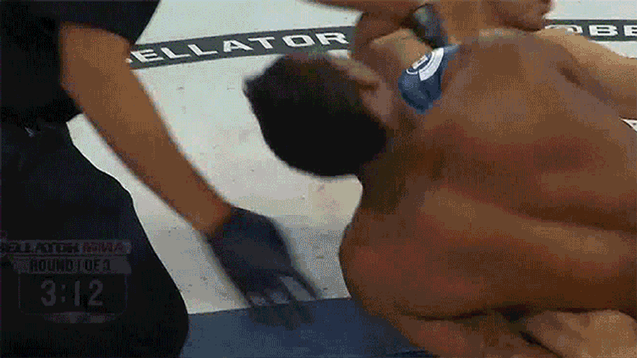 Celebrated MMA Ref Herb Dean Under Fire For Slow Call On Guillotine