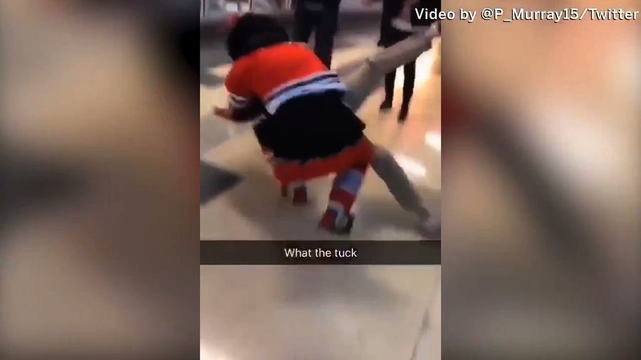 Blackhawks Mascot Gets Into A Wrestling Match With A Fan