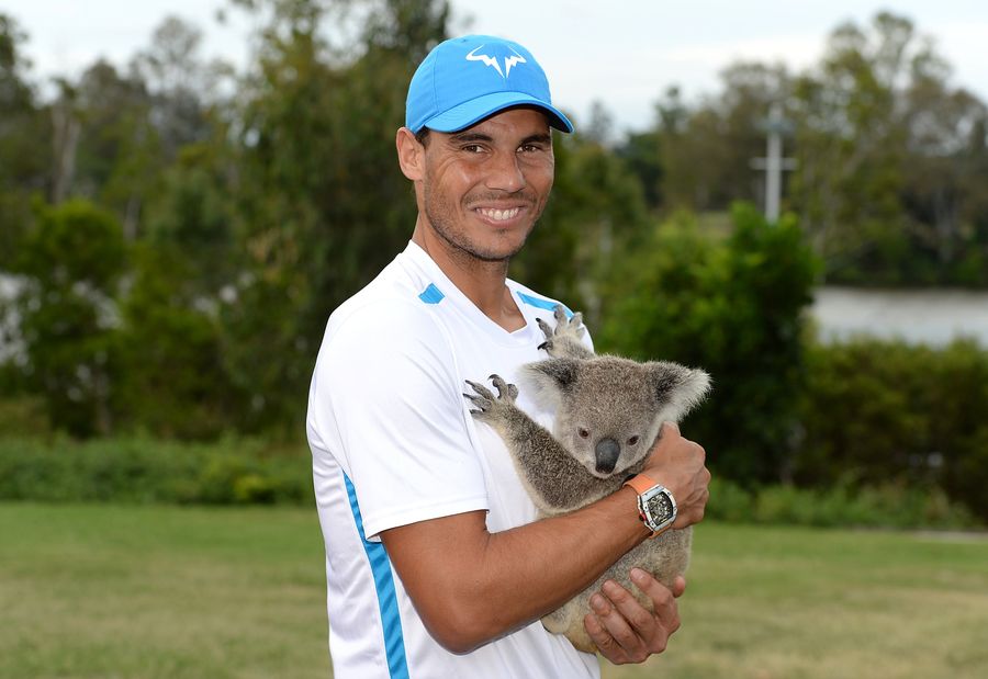 Just Rafael Nadal Holding A Koala