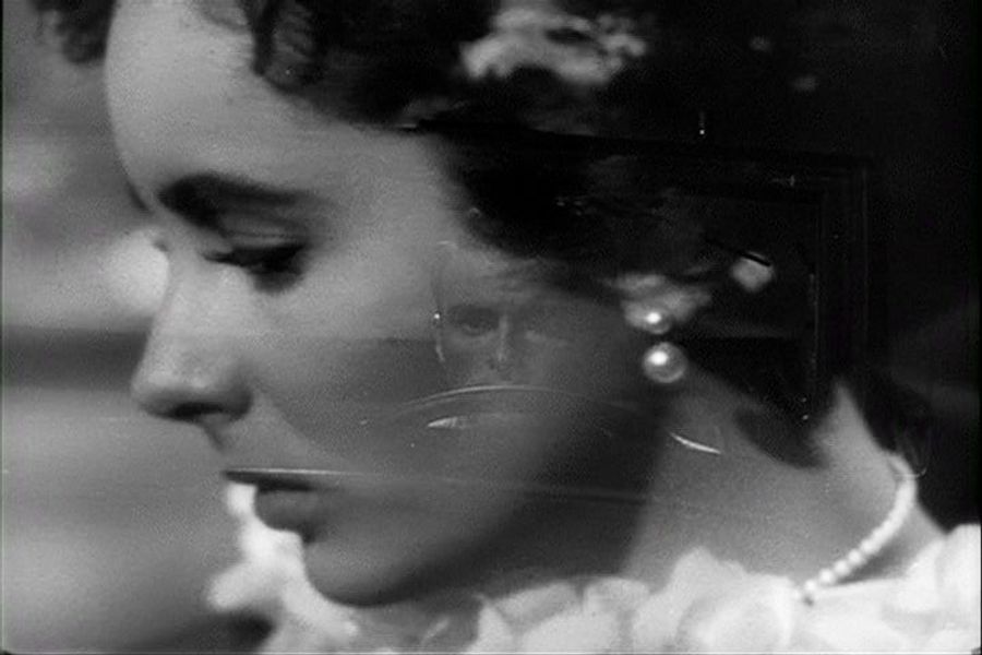 Reeling With Errol Morris