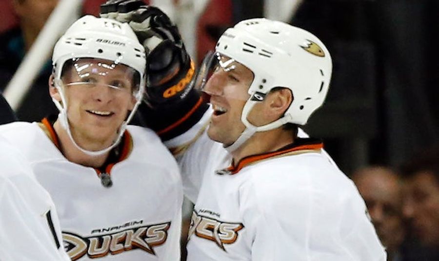 Ducks Have Mumps