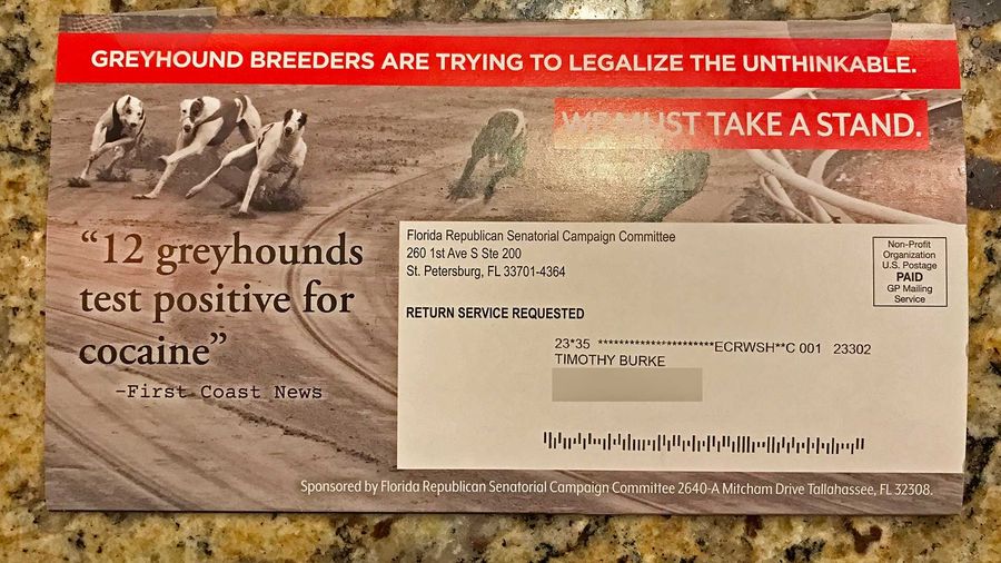 My Idiot State Senator Is Campaigning On Coke Dogs