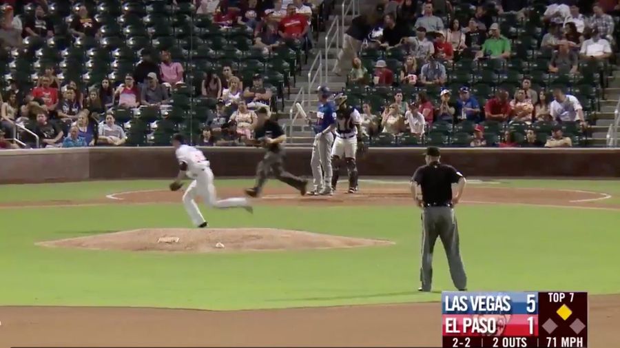 Chihuahuas Come Up With Physics-Defying Groundout
