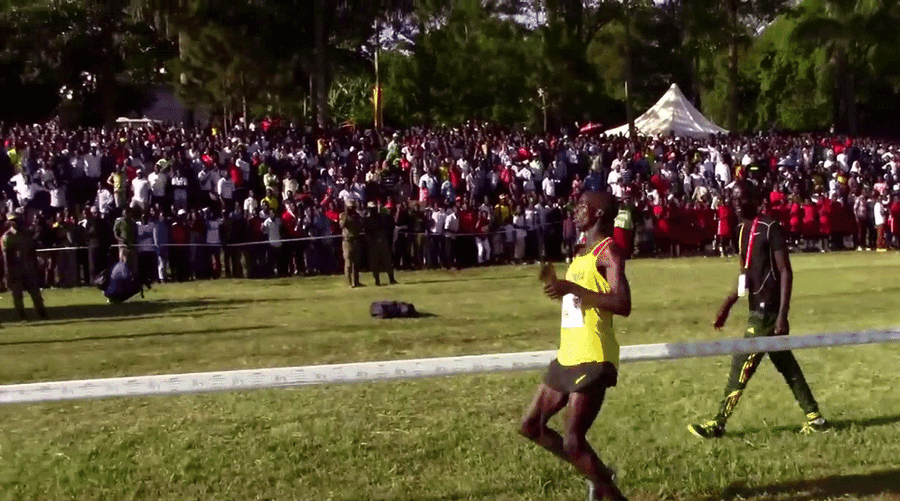 Ahead For 9,400 Meters, Joshua Cheptegei Wobbles To Finish At World Cross Country Championships