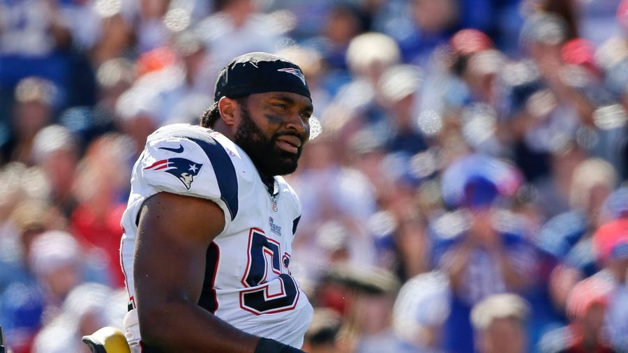 Jerod Mayo's Missing Dog Found Dead In Dog Trainer's Closet