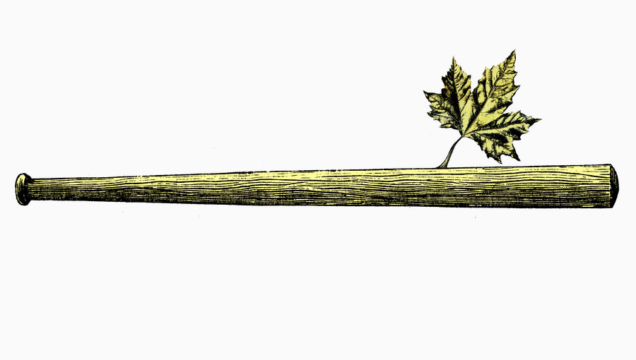 How Maple Bats Kicked Ash And Conquered Baseball