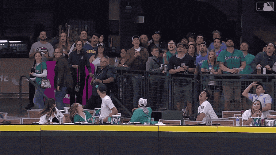 This Is Not The Best Way To Try And Catch A Home-Run Ball