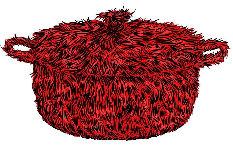 Help! My Le Creuset Has Grown Fur!