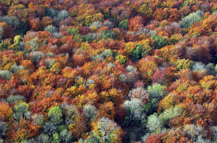 Counterpoint: It&#39;s Time To Spend A Few Weeks Telling Myself I Can Tolerate Bad Autumn Takes
