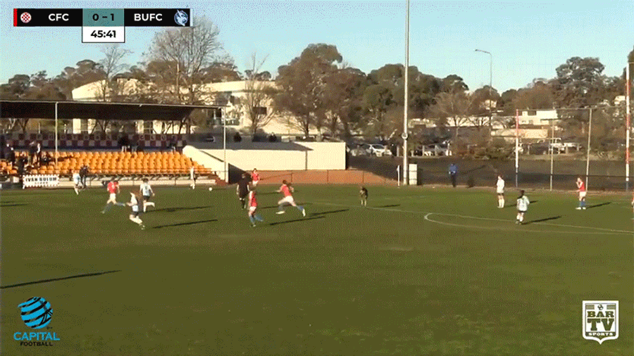Kangaroo On The Field Is Great At Running, Atrocious At Kicking The Ball