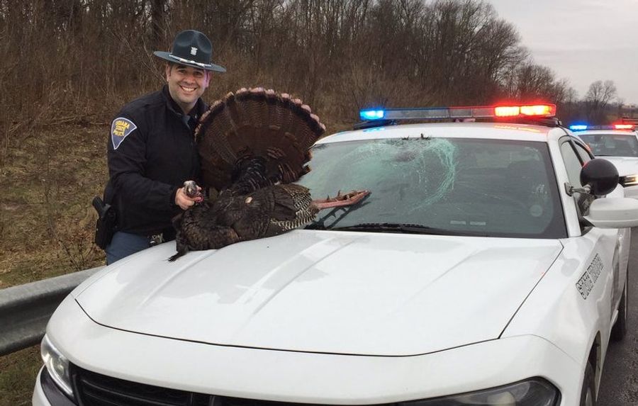 Third Turkey Misses Mark