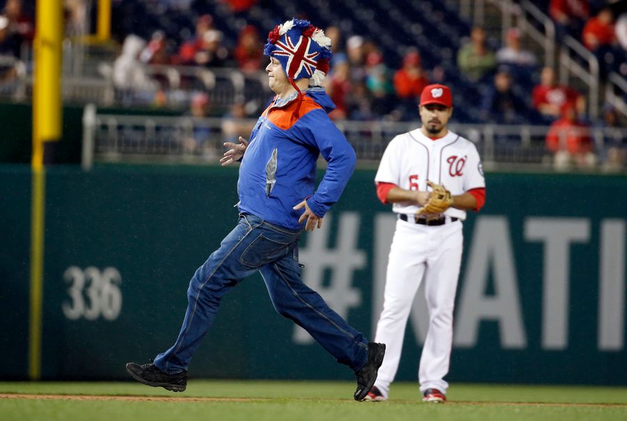 Jungle Bird Jumps Nationals Wall, Runs Bases, Gets Sacked By Security