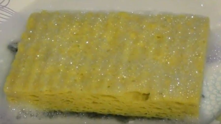 Your Sponge Is Foul