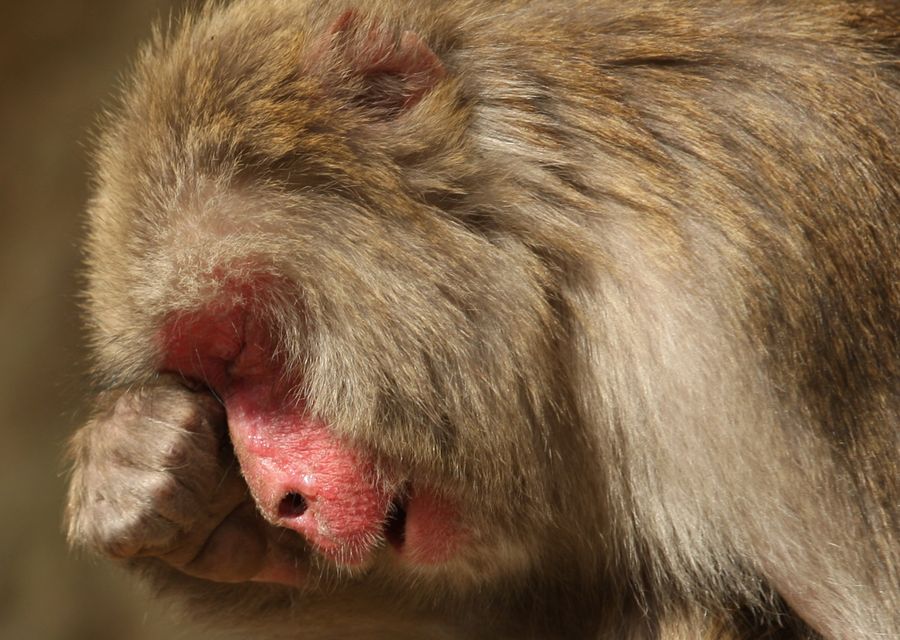 How Do You Survive Allergy Season?